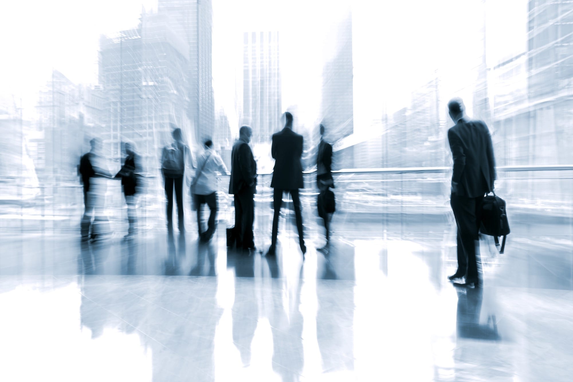 Independent Director Services